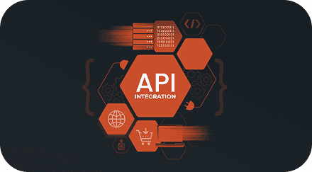Custom API & Middleware Integrations