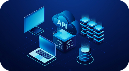 Custom API & Middleware Integrations
